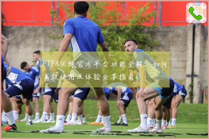 FIFA买球官方平台功能全解：如何高效使用及体验分享指南