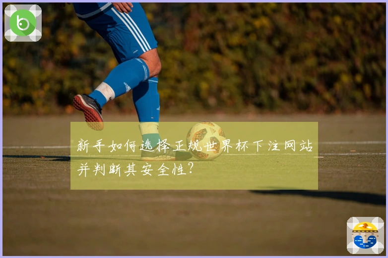 新手如何选择正规世界杯下注网站并判断其安全性？