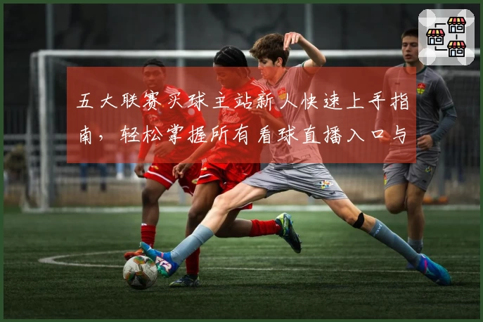 五大联赛买球主站新人快速上手指南，轻松掌握所有看球直播入口与功能