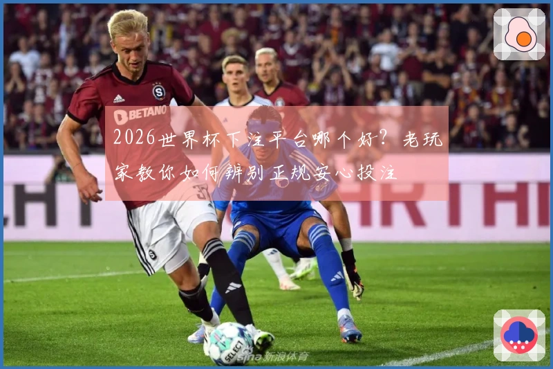 2026世界杯下注平台哪个好？老玩家教你如何辨别正规安心投注