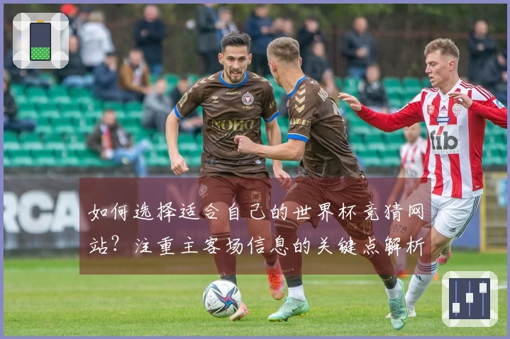 如何选择适合自己的世界杯竞猜网站？注重主客场信息的关键点解析