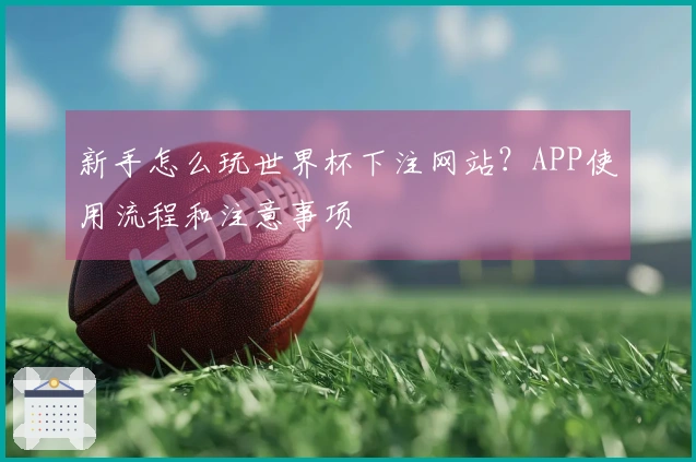 新手怎么玩世界杯下注网站？APP使用流程和注意事项