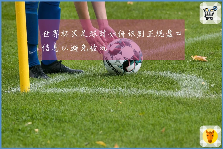 世界杯买足球时如何识别正规盘口信息以避免被坑