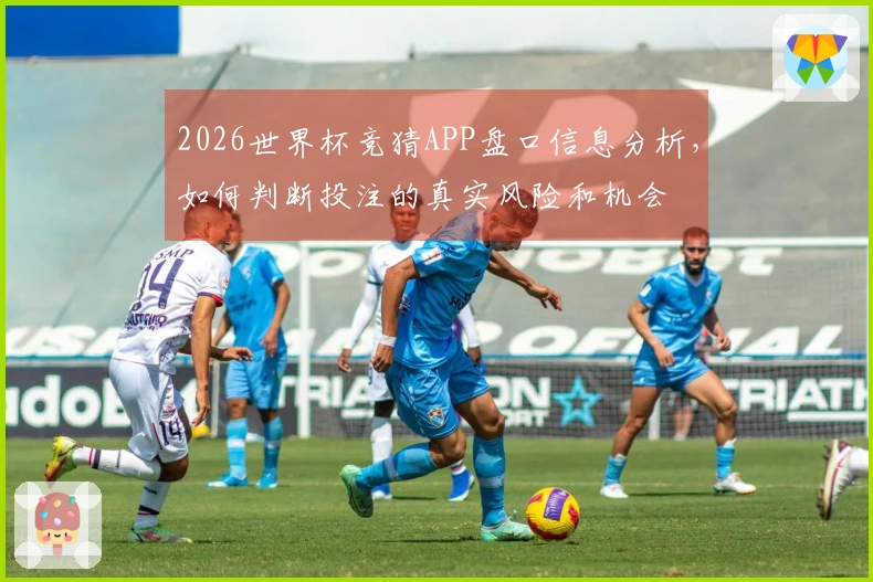 2026世界杯竞猜APP盘口信息分析，如何判断投注的真实风险和机会
