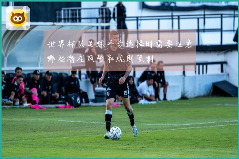 世界杯买足球平台选择时需要注意哪些潜在风险和规则限制