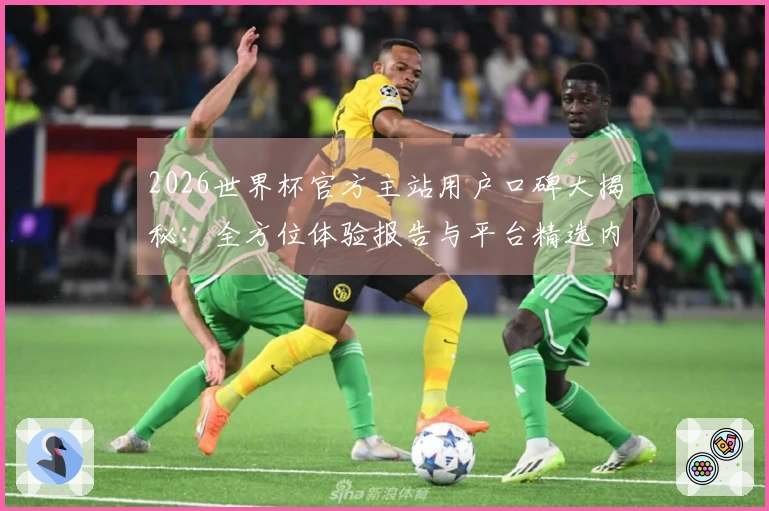 2026世界杯官方主站用户口碑大揭秘：全方位体验报告与平台精选内容一览