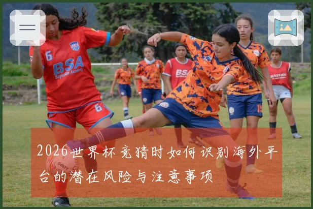 2026世界杯竞猜时如何识别海外平台的潜在风险与注意事项