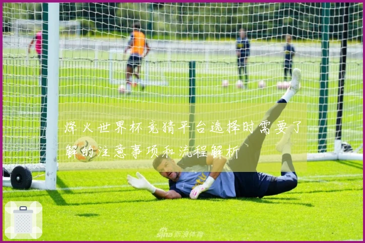 烽火世界杯竞猜平台选择时需要了解的注意事项和流程解析