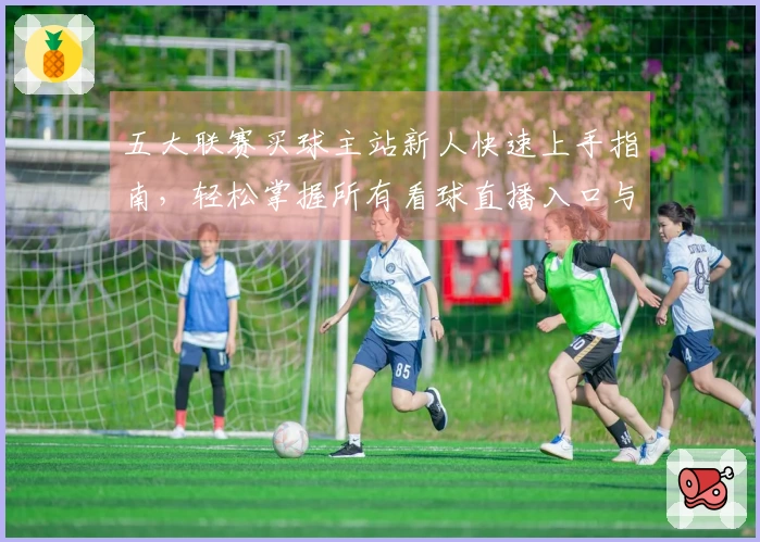 五大联赛买球主站新人快速上手指南，轻松掌握所有看球直播入口与功能