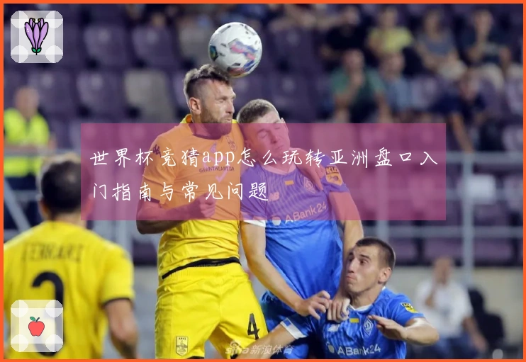 世界杯竞猜app怎么玩转亚洲盘口入门指南与常见问题