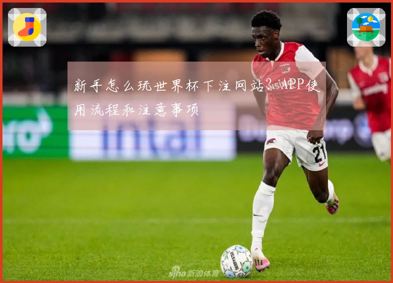 新手怎么玩世界杯下注网站？APP使用流程和注意事项